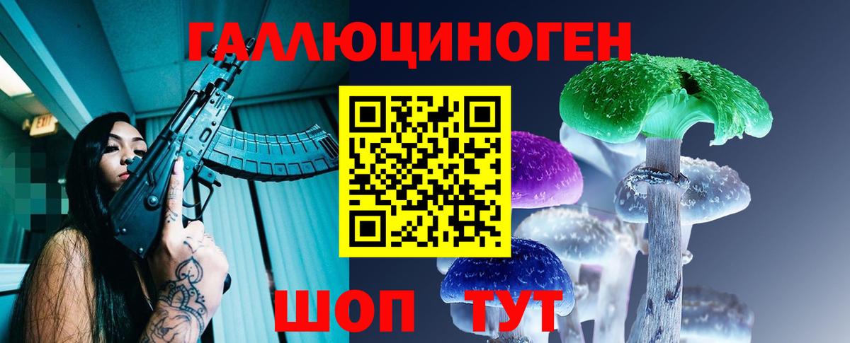 Галлюциногенные грибы Cubensis Берёзовский