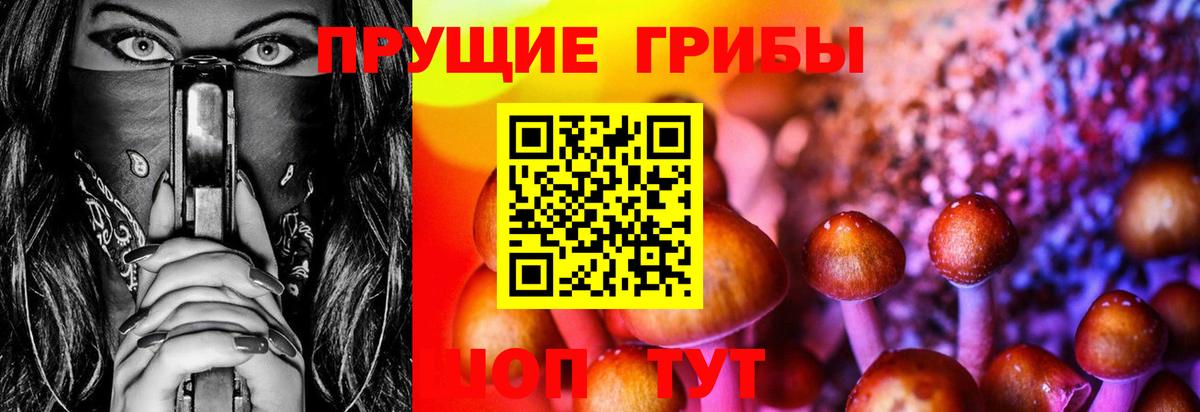 Галлюциногенные грибы ЛСД Берёзовский